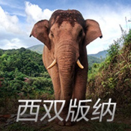 意媒：切尔西和利物浦考虑引进卢克曼，需要投资7500万欧